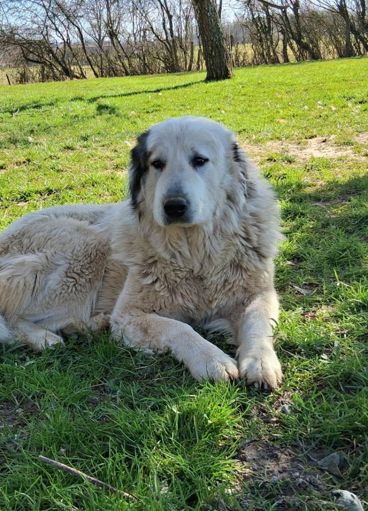 Smile du val de montserrat
